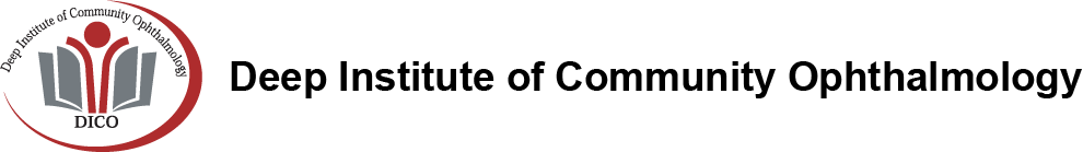 DICO logo with Name